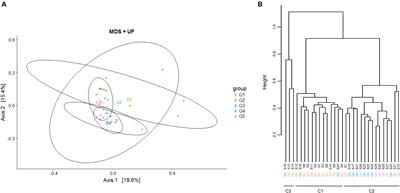 Bovine Teat Cistern Microbiota Composition and Richness Are Associated With the Immune and Microbial Responses During Transition to Once-Daily Milking